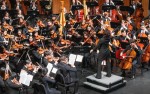 Image for New Jersey Youth Symphony Presents: A Concert for Peace