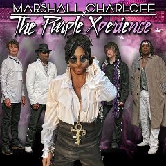 Image for The Purple Xperience - tribute to Prince!