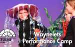 Image for Studio Wayne: Summer 2024: Waynelets Performance Camp (K-2nd grade)