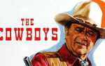 Image for Midweek Matinee: The Cowboys