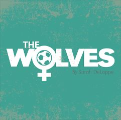Image for The Wolves