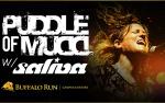 Image for Puddle of Mudd with Special Guest Saliva