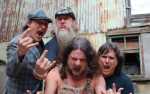 Image for Hayseed Dixie