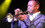 Image for Spring into Jazz with Willie Bradley: A Night of Smooth Jazz