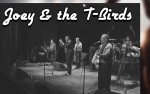 Image for Joey and the T Birds