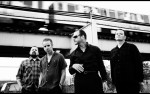 Image for Social Distortion