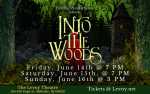 Image for DoItBig Productions presents Into the Woods