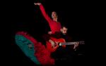 Image for "ALEJANDRA" - Flamenco Spain Arts & Culture Tour 2022