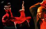 Die bittersüße Leidenschaft des Flamenco