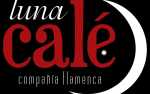 IX Festival Escuelas Flamencas USA - Luna Cale