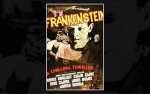 Classic Movie Night: "Frankenstein"