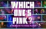 Which Ones Pink?- A Tribute to Pink Floyd