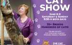 Image for CFA Allbreed Cat Show presented by Star City/Central Carolina CF