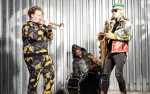 Image for Too Many Zooz