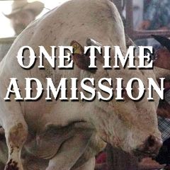 Image for 2021 Rio Grande Valley Livestock Show One Time Admission