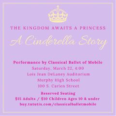Image for A Cinderella Story