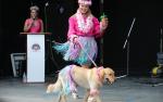 Image for Canine Court Pageant