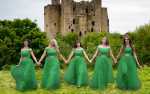Image for Celtic Angels of Ireland