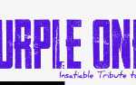 Image for The Purple Ones - Insatiable Tribute to Prince + DJ DePope of Funk
