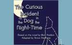 Image for Studio Players presents "The Curious Incident of the Dog in the Night-Time" at the Carriage House Theatre