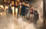Image for Summer Outdoor Movie: Fantastic Beasts and Where to Find Them