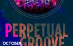 Image for Perpetual Groove
