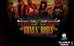Image for Guns N Roses Tribute