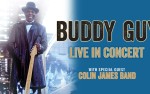 Image for BUDDY GUY