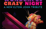 Image for WONDERFUL, CRAZY NIGHT: A NEW ELTON JOHN TRIBUTE