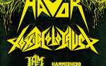 Image for HAVOK and TOXIC HOLOCAUST