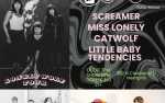 Image for CATWOLF / Miss Lonely / Little Baby Tendencies / Screamer [Small Room-Downstairs]