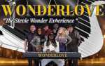 Image for Wonder Love - A Stevie Wonder Experience