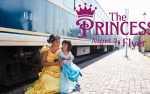 Image for The Princess Flyer