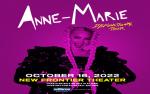 Image for Anne-Marie Dysfunctional Tour