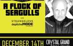 Image for A Flock of Seagulls with  STRANGELOVE The Depeche Mode Experience