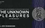 The Unknown Pleasures * DJ Joe Shanahan