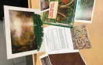 Image for Teaching Kit: The Rainforest