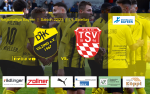 Image for DJK Vilzing - TSV Rain/Lech
