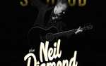 Image for So Good!  The Neil Diamond Experience, Starring Robert Neary