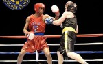 Image for Michigan Golden Gloves State Semi-Finals