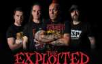 Image for THE EXPLOITED