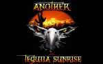 Another Tequila Sunrise: An Eagles Tribute