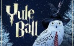 Image for Yule Ball