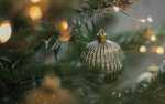 Klassik im Weinberg: Winterzauber und Weihnachtswunder