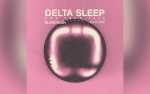 Image for Delta Sleep