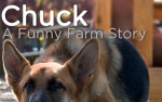 Image for Chuck: A Funny Farm Story