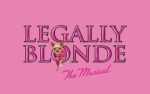 Image for Legally Blonde: The Musical