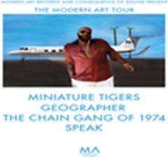 Image for MINIATURE TIGERS**ALL AGES*