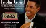 Image for Feelin' Good: The Ultimate Michael Buble Experience