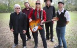 Image for The Wildflowers - A Tribute to Tom Petty & The Heartbreakers